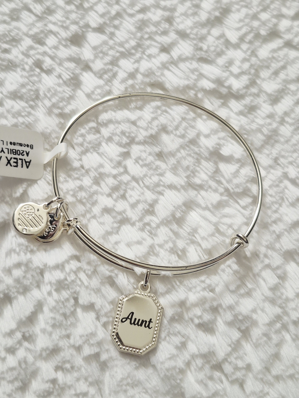 Alex and Ani Silver 'Aunt' Charm Bangle - Picture 2 of 6